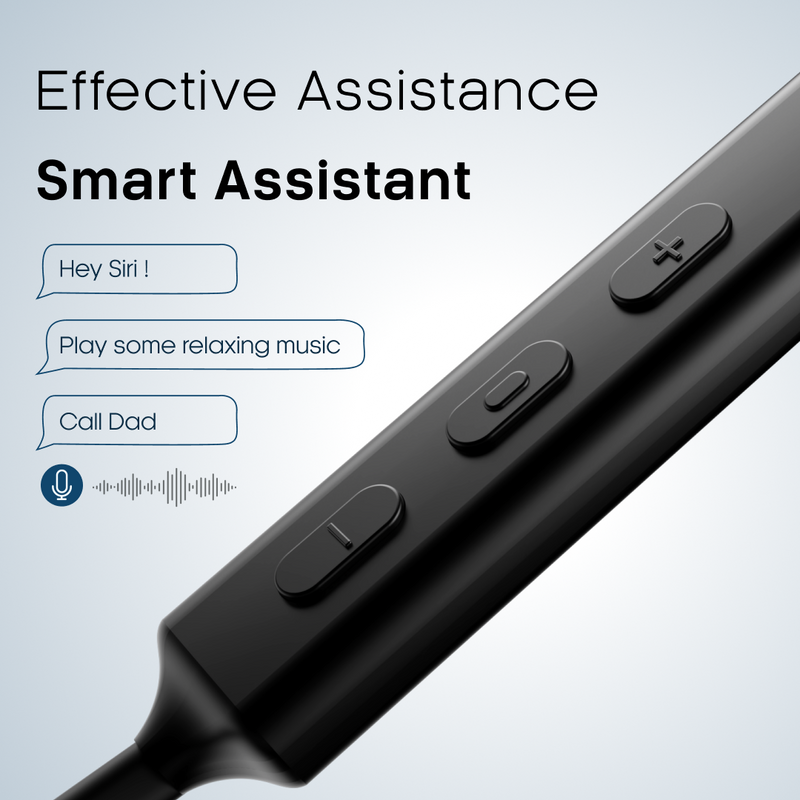 Combo : 2 x LEAF RUSH X168 WIRELESS EARPHONES (CARBON BLACK) - Leaf Studios